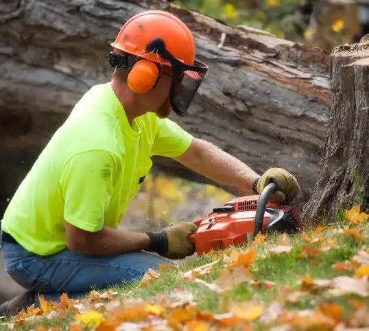 tree services Hanscom AFB